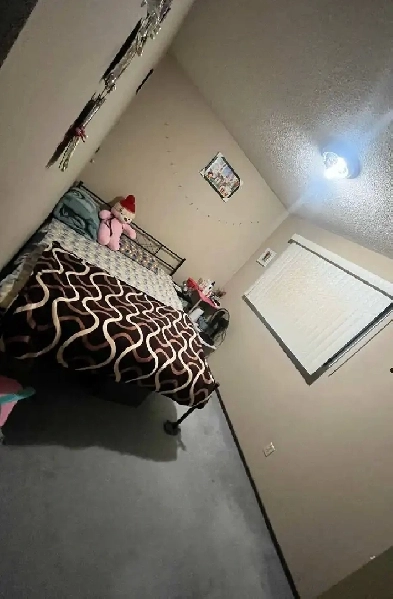 2 Private rooms available for rent for girls Image# 1