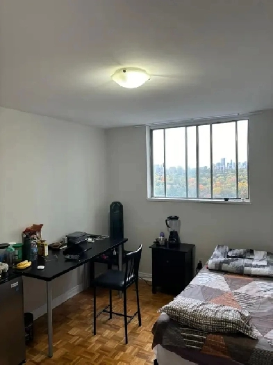 Downtown SUbway HUGE MAster BedRoom Furnished Image# 1