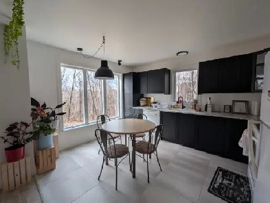 3 1/2 rénové à louer à Mont-Tremblant Image# 1