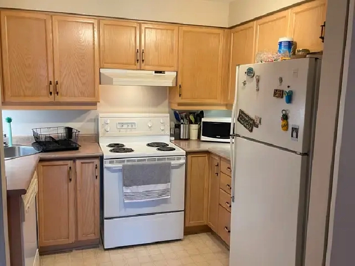 Two Bedroom in Centertown Golden Triangle in Ottawa,ON - Apartments & Condos for Rent