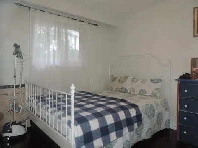 Legal Basement Room For Rent Male Only Image# 1