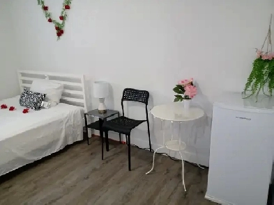 NEWLY RENOVATED, FULLY FURNISHED A PRIVATE ROOM FOR RENT Image# 1