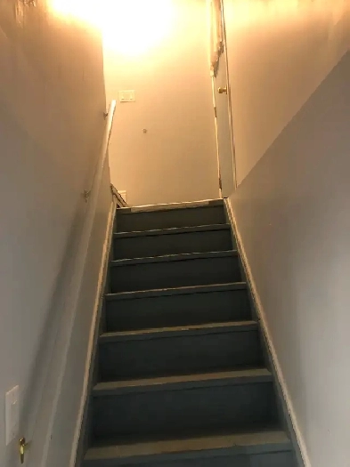 2 bedroom basement for rent in Brampton Image# 1