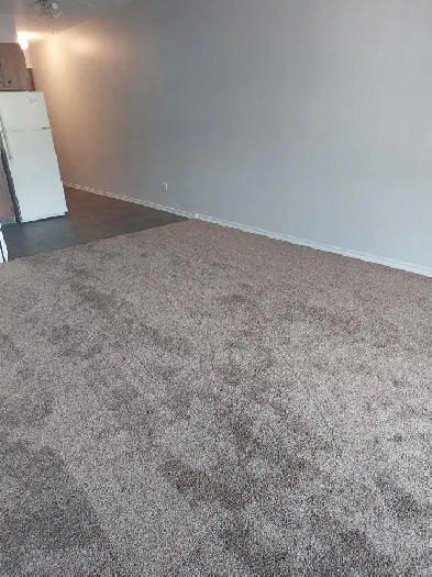 Bachlour Suite Image# 2
