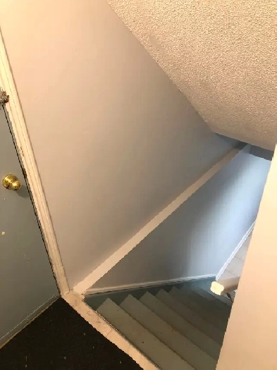 2 bedroom basement for rent in Brampton Image# 1