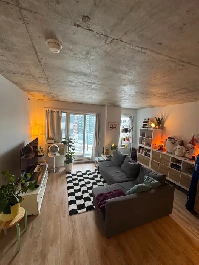 Cession de bail/Lease Transfer 4 1/2 Griffintown $2410 Image# 8