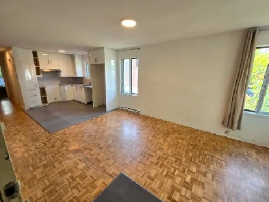 STYLE CONDO, SUR 2 NIVEAUX, COUR, VILLE-ÉMARD Image# 5