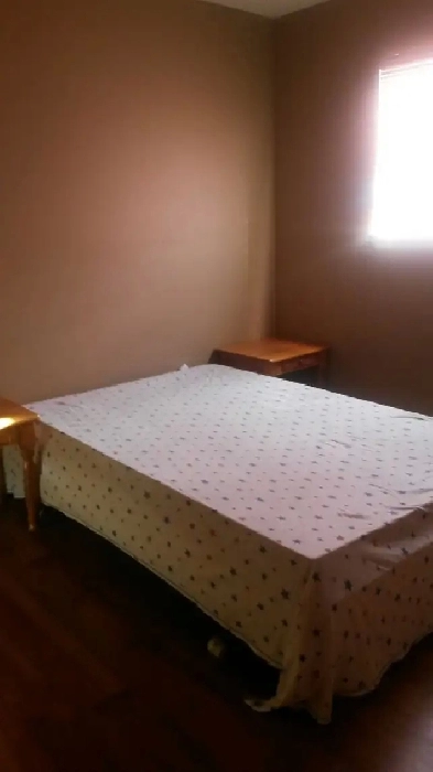 Walk out basement for rent Image# 13