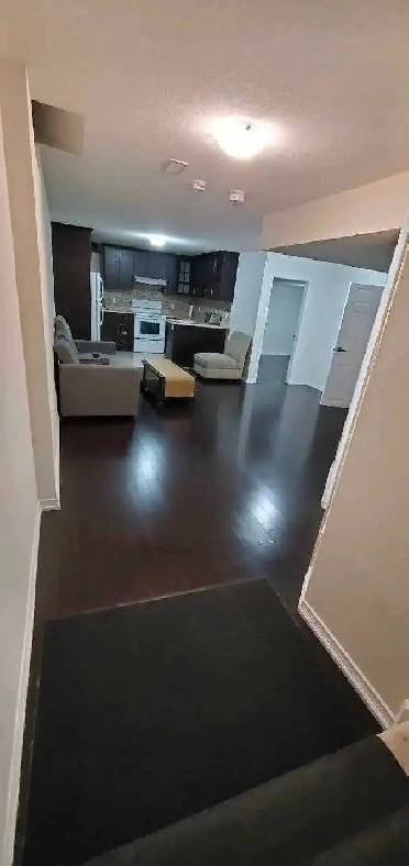 Two Bedrooms basement for rent in Brampton Image# 1