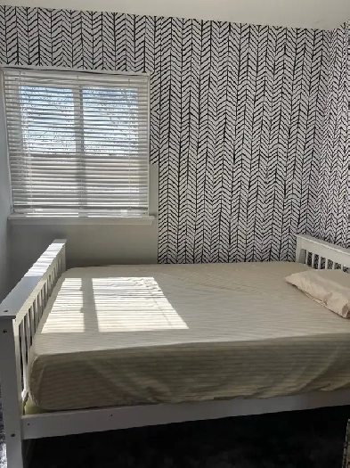 A private beautiful private room for rent in Mississauga Image# 1