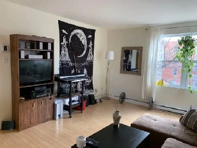 NDG Sunny 5 1/2 Condo for Rent Image# 1