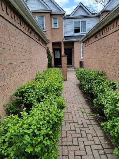 4 Bedroom house for rent, near University of Western Ontario Image# 12