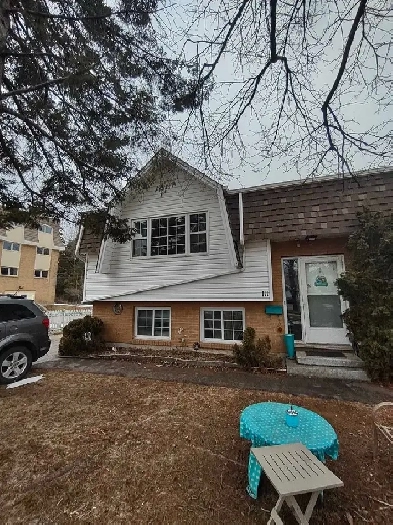 Fredericton uptown room  for rent Image# 1