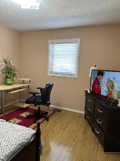 Private Room Furnished in a house ,close to bus stop.Brampton Image# 1