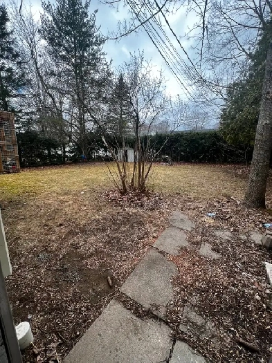 2 bedroom apartment for rent $1400 plus utilities Image# 3