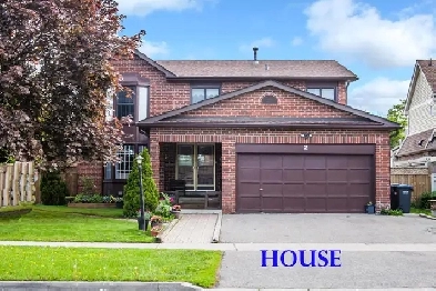 2 Bedroom Basement in Brampton for Rent Image# 1