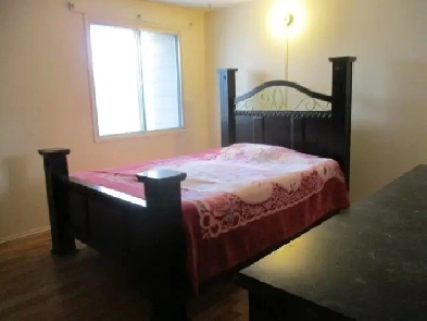 Wonderful Bedroom Basement Furnished - Edmonton South Image# 1