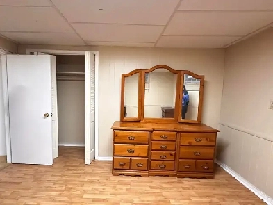 Warden/ Finch Basement Room  Den for Professional Female Image# 6