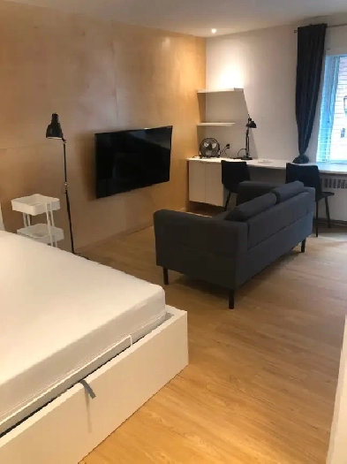 Superbe Studio Meublé au Cœur du Plateau pour Juillet Image# 8
