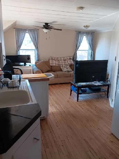 1 bedroom apt. Huntsville Image# 4