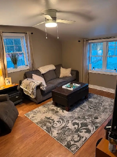 Cute one bedroom loft Apartment in heart of Winchester Image# 1