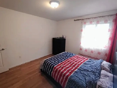 Appartement 4 1/2 à louer à Ville Saint-Laurent Image# 1