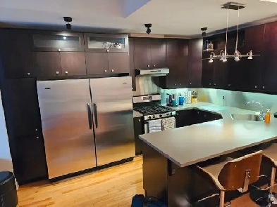 Luxury Downtown Condo for rent Image# 1