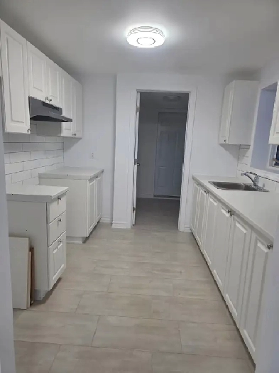 Grand 4 1/2 à louer (semi sous-sol) a 700m du Metro Cartier Image# 1