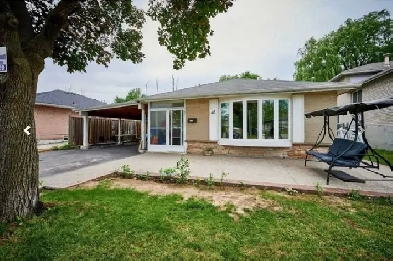 One Bedroom Basement for Rent in Etobicoke Image# 1