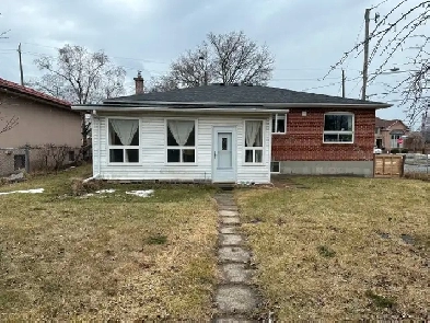 Spacious 4 BD. Basement Apt in Prime North York - Steps to TTC! Image# 4