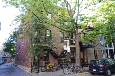 APPARTEMENT 4 1/2   ELECTROS ,PLATEAU MONT-ROYAL , MONTREAL Image# 1