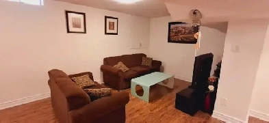 2   1 bedroom, 1 bathroom new basement apartment in Newmarket Image# 1