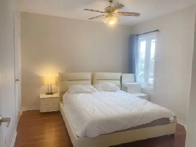 Room Rent - All Utilities Included Image# 3