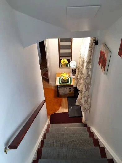 One Bedroom Furnished Basement  Apartment for Rent Image# 4