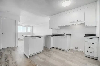 1 Bed 1 Bath Apartment Image# 6