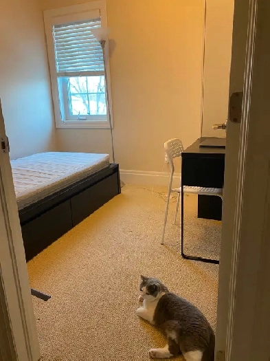 Yonge/Finch - 1 Private Bedroom, All-inclusive, Townhouse Image# 1