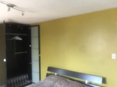 FURNISHED CLEAN ROOMS IN QUIET HOME NEAR PEARSON/AIRPORT/BOVAIRD Image# 1