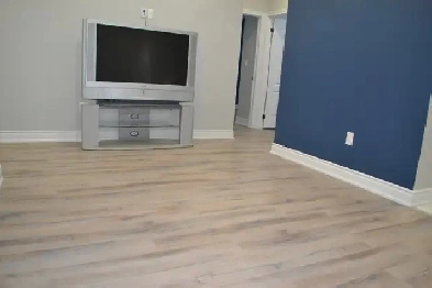 Stunning 2-Bedroom Basement Apartment with Modern Amenities Image# 2