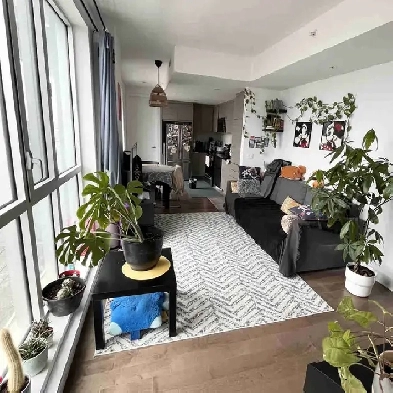 2 bedroom, 1 bathroom Apartment Image# 4