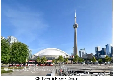 Luxury furnished 2BD 2BA condo for rent downtown Toronto/ Aug 10 Image# 2