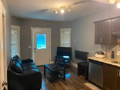 2 Bedroom Walkout Furnished Legal Basement Suite-May 1st Image# 1
