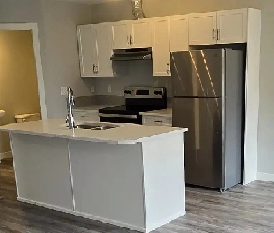 New Spacious 2-Bedroom Townhouse  Separate Entrance | Downtown Image# 1