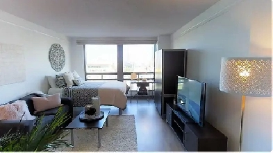 1 bed 1 bath apartment $1,500/month near uOttawa Image# 1