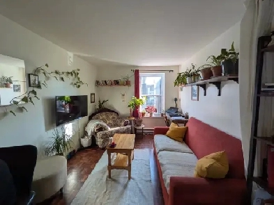 3 1/2 a louer , en coop , a qui la chance Image# 1