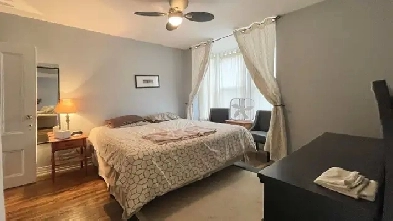 One bedroom house for rent Image# 3