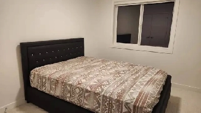 Room for Rent for Female - $575 only Image# 1