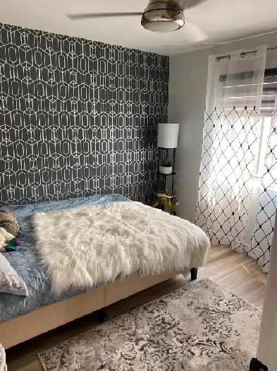 un 3 1/2 à louer meublé, 1er juin, Ville-Marie, dernier étage Image# 1