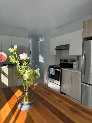 Plateau furnished room for young professionals available now! Image# 1