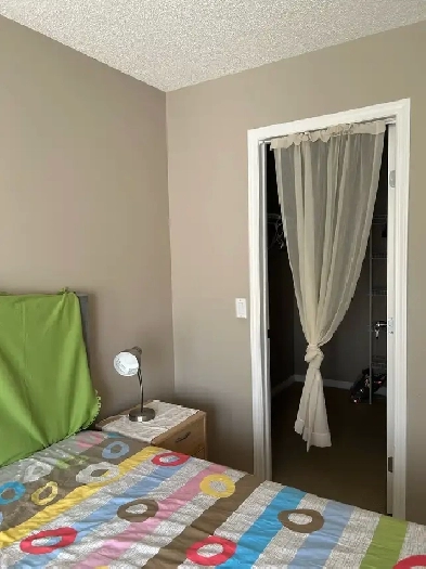 NW room for rent $800 Image# 1