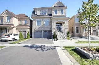 Basement in Brampton Image# 1
